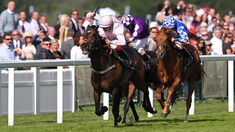 Fran Berry winning the Ascot Stakes on Domination in 2014