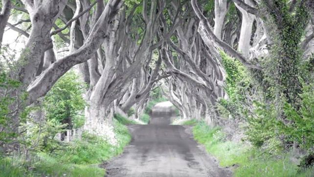 Ballymoney, Co Antrim (Pic: Jamie Rocliffe)