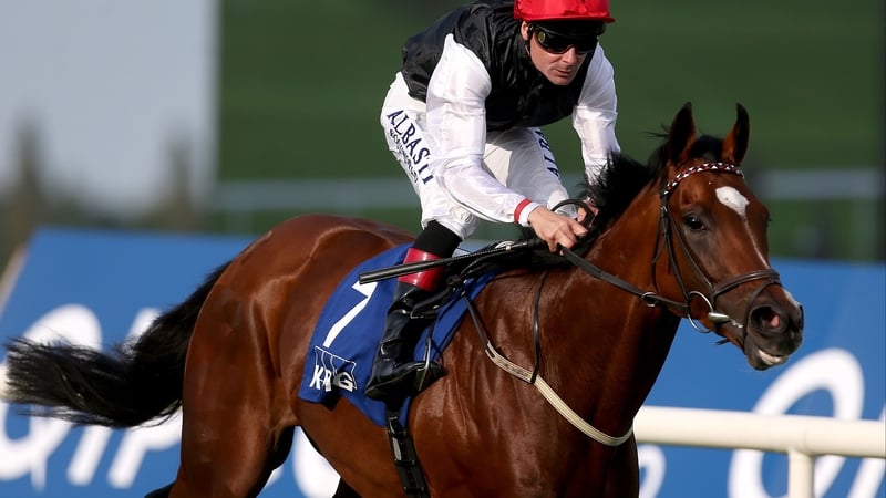 Free Eagle on board Free Eagle comes home to win the KPMG Enterprise Stakes