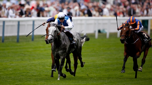 Solow is a best price 6-5 for the QEII