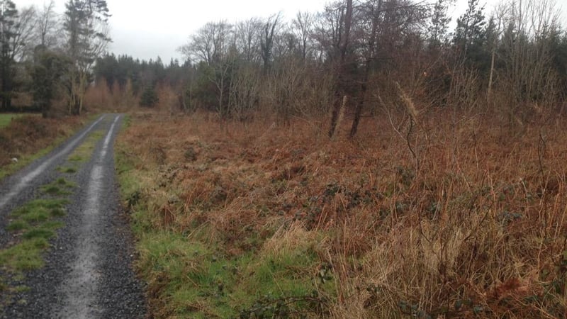 The planned €850m development is at a standstill, pending the outcome of the court proceedings