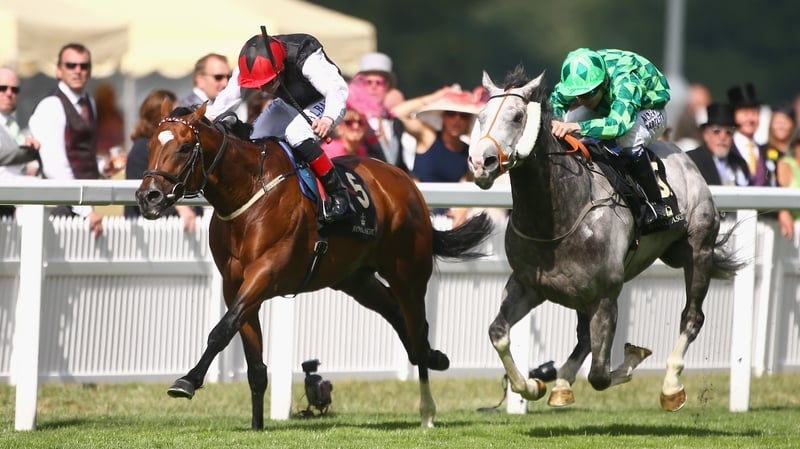 Free Eagle wins the Prince of Wales's Stakes earlier in the season
