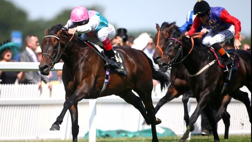 Time Test is a two-time Group Two winner but has yet to score at the highest level