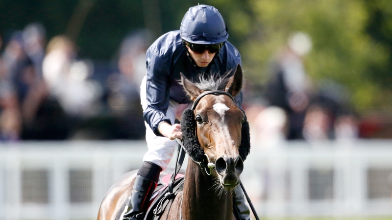 Curvy, ridden by Ryan Moore, wins the Ribblesdale Stakes at Ascot