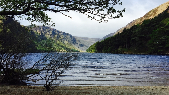 A scene from Glendalough, Co Wicklow (Pic: Aisling Fagan)