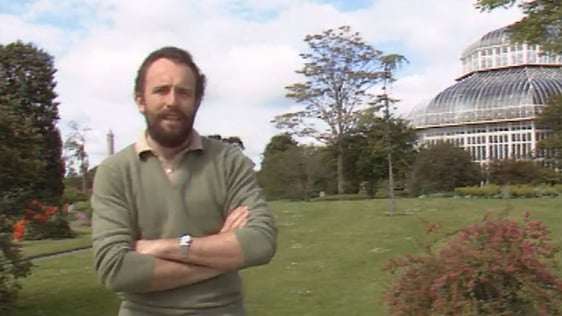 Gerry Daly