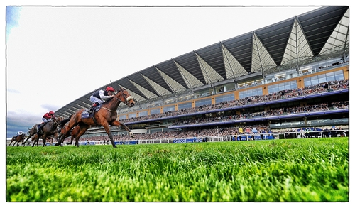 Forgotten Rules winning at Ascot in October last year