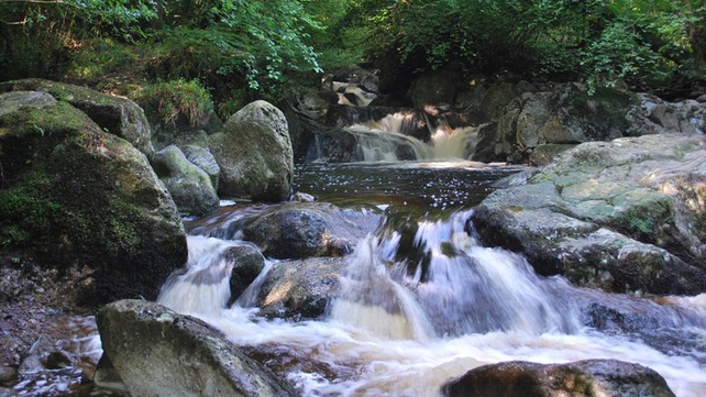 The Mahon Falls in Co Waterford (Pic: Robert Hyde)