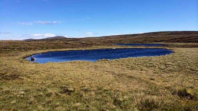 A scene from the Three Lakes, Co Wicklow (Pic: David Marlborough)