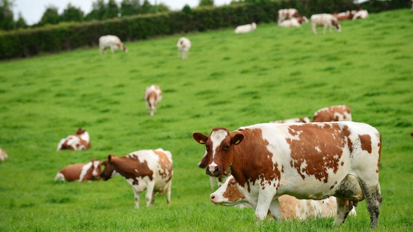 The cow with the confirmed BSE case was part of this herd from a farm in Co Louth