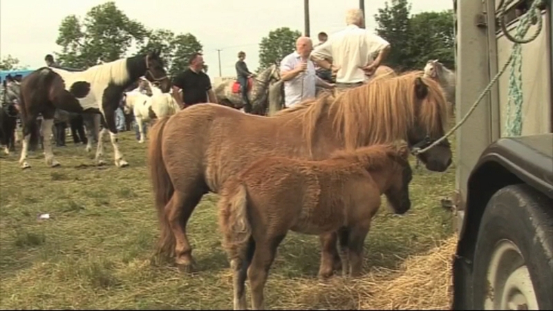 Aonach capall Chnoc Uarchoille