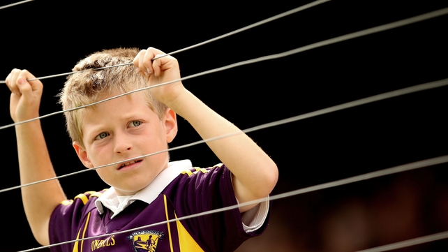 It was a tough day for Paddy Redmond and other Wexford fans in the Leinster Hurling Championship semi-final on Sunday