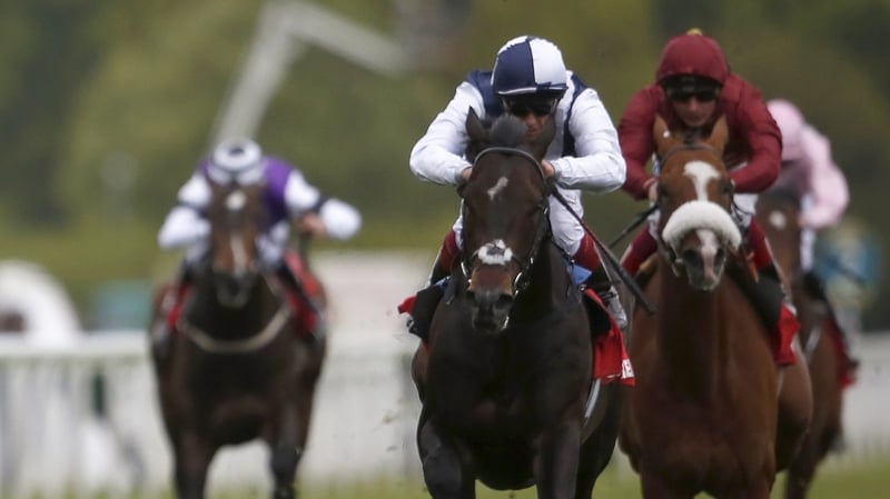 Jack Hobbs (C) among field of eight for Saturday's Irish Derby