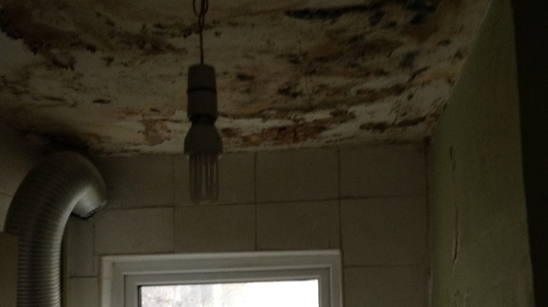 'Paul' says when it rains he just waits for water to come through his ceiling