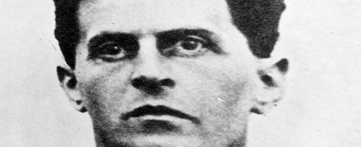 Wittgenstein in the West by Stephen Toomey