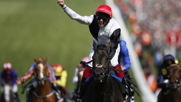 Golden Horn is unbeaten in five lifetime starts