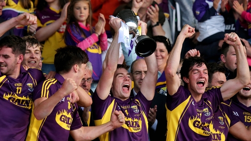 Wexford players celebrate another Leinster U-21 success for the county