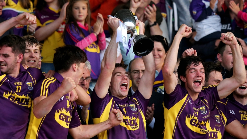 Wexford players celebrate another Leinster U-21 success for the county