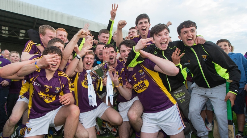 Wexford players and supporters in celebratory mood at Wexford Park
