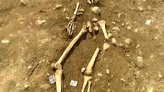 Viking Remains (2005)