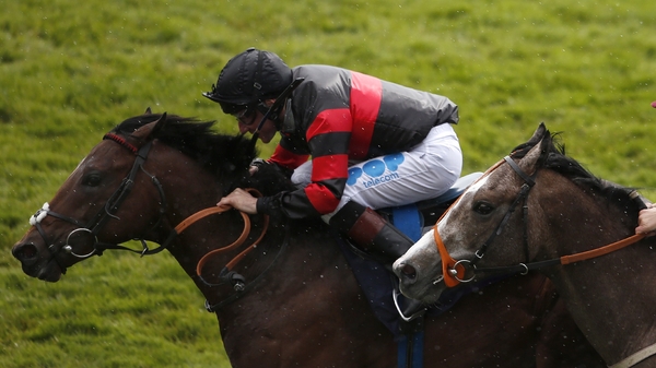 Zebstar was a 25-1 shot when making a winning debut at Newmarket
