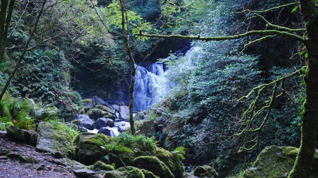 Torc Waterfall, Killarney, Co Kerry (Pic: Tom Henry)