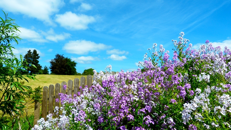 The morning business news with Brian Finn