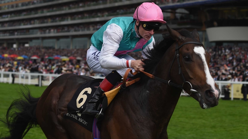 Snow Sky is a top-price 8-1 for the King George