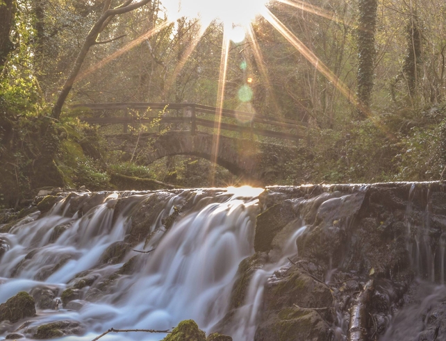 Dún na Rí Forest Park in Co Cavan (Pic: Killian Smith)