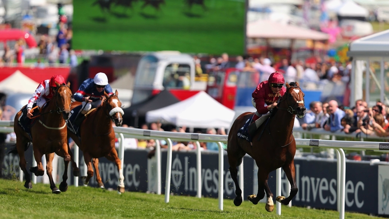 Arod can be backed at 16-1 for the Sussex Stakes at Glorious Goodwood