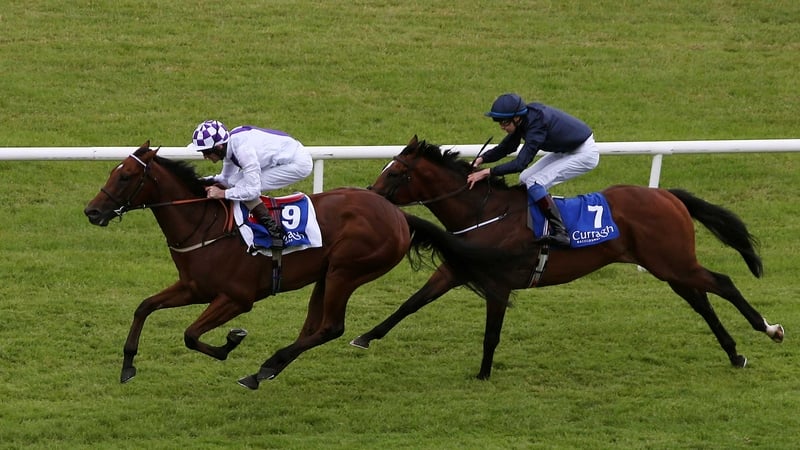 Jim Bolger's unbeaten Sanus Per Aquam is likely to go off a short-priced favourite for the Tyros Stakes