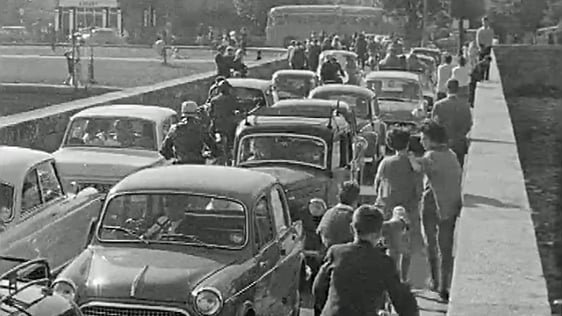 Bull Wall (1963)