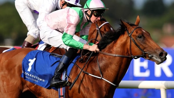 Deauville is amongst a large list of Aidan O'Brien entries for Saturday's race