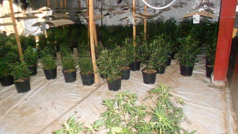 The scene has been preserved for technical examination