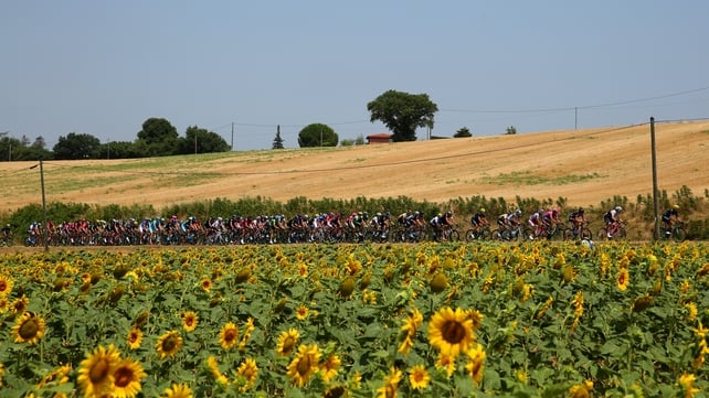 The peloton makes its way through stage 13 of the Tour de France, a 198.5 km stage between Muret and Rodez