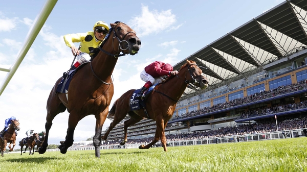 King George winner Postponed is a general 7-4 favourite in the ante-post market for the Dubai Sheema Classic