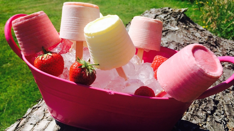 Fruit and Yogurt Ice Pops