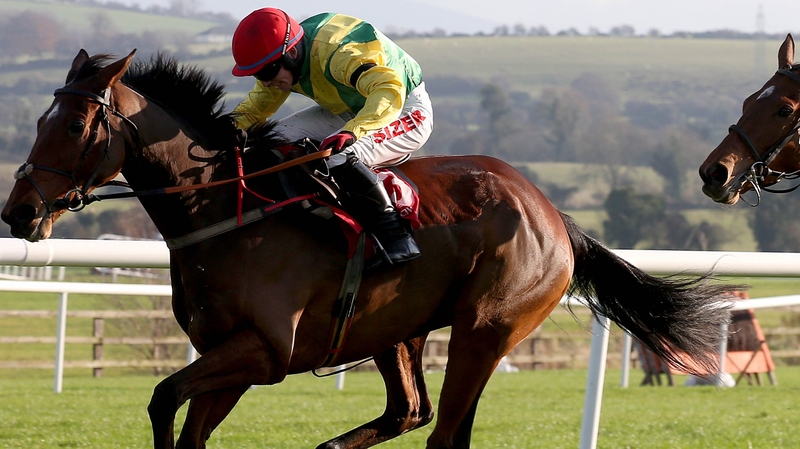 Shanahan's Turn will go in the Galway Plate again