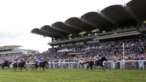 Shalaa, who was an impressive winner of the Richmond Stakes at Glorious Goodwood on his last start, is no bigger than 16-1 for the 2,000 Guineas after his Prix Morny win