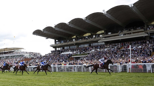 Shalaa, who was an impressive winner of the Richmond Stakes at Glorious Goodwood on his last start, is no bigger than 16-1 for the 2,000 Guineas after his Prix Morny win