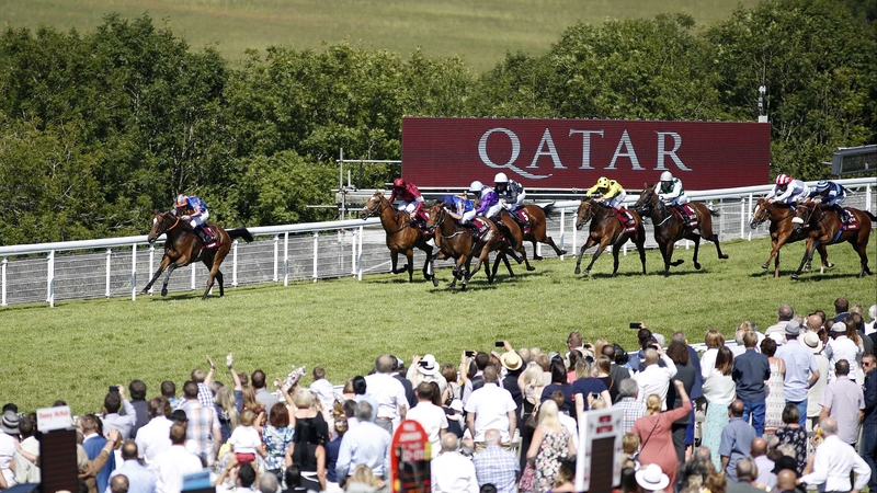 Legatissimo bounds clear on the Sussex Downs