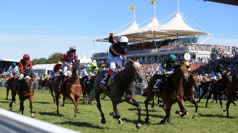 The progressive Magical Memory has won three of his last four starts and on his most recent outing became just the second three-year-old in over 30 years to win the Stewards' Cup