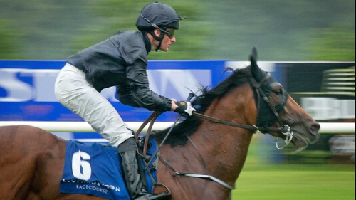 Seamus Heffernan on Fields of Athenry wins The Challenge Stakes at Leopardstown last month