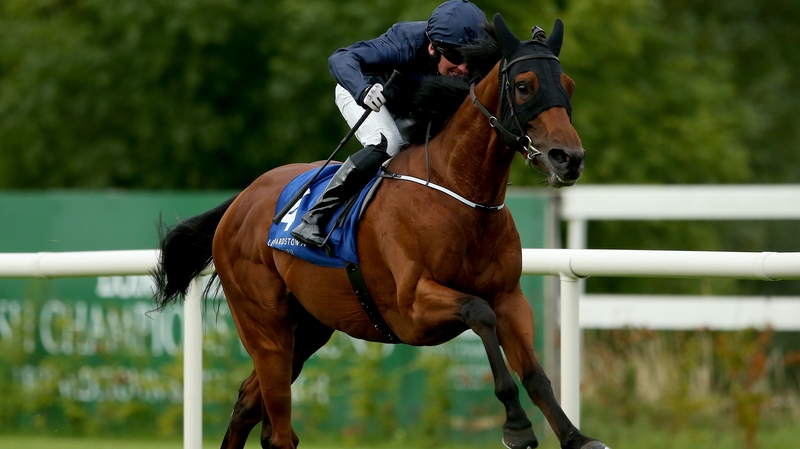 Fields Of Athenry is looking to be a tempting prospect for the Ladbrokes St Leger