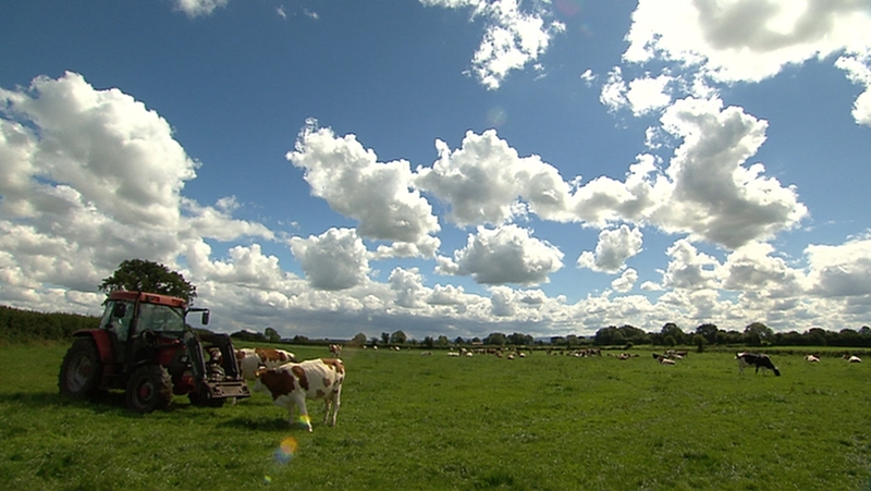 Gardaí, who are investigating the incident, made a renewed appeal for information yesterday