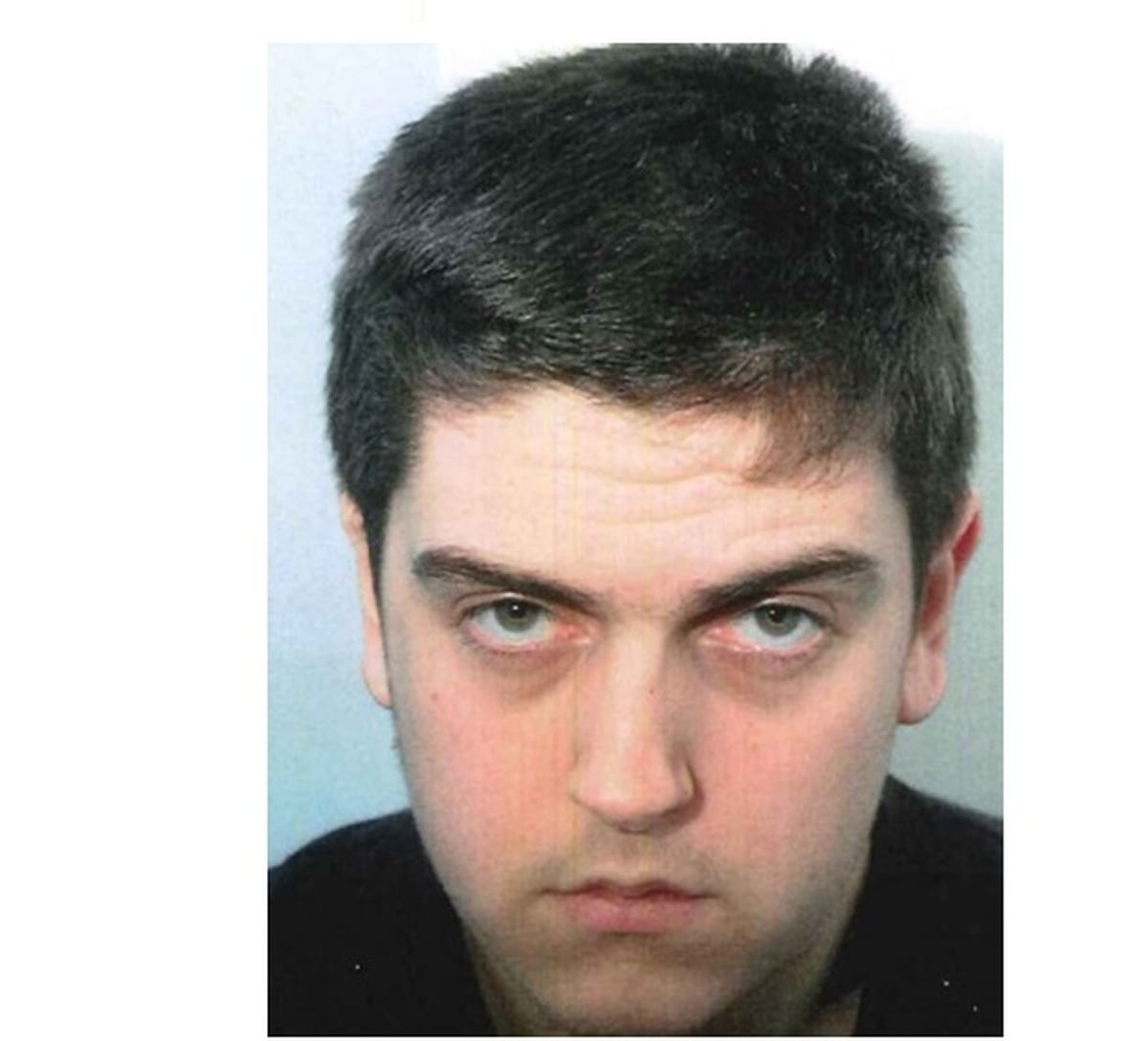 Alexander Pacteau pleads guilty