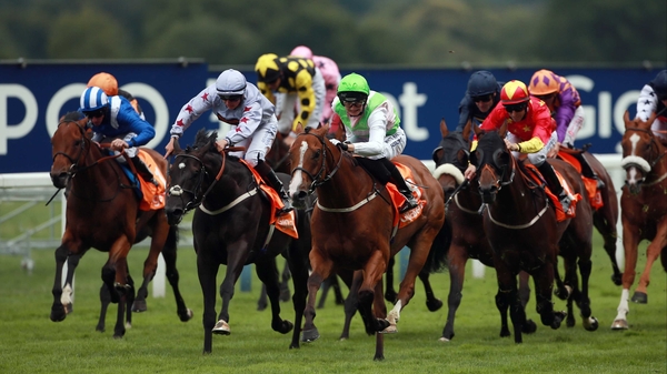 Heaven's Guest has won three of his seven starts this season