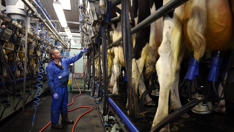 Scheme offers dairy farmers loans of up to €300,000