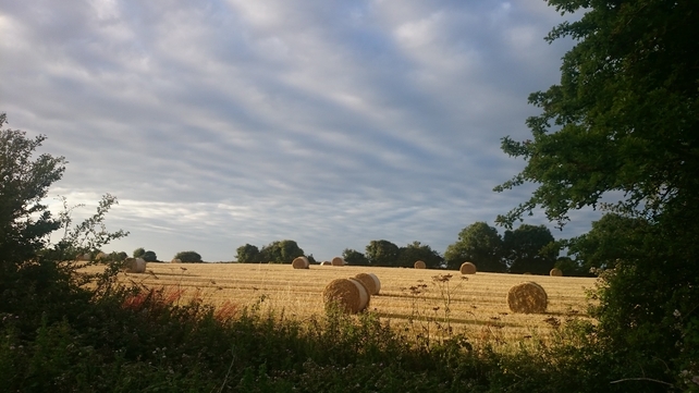 Ábhristín Ó Cadhlaigh snapped these hay bales through the hedge