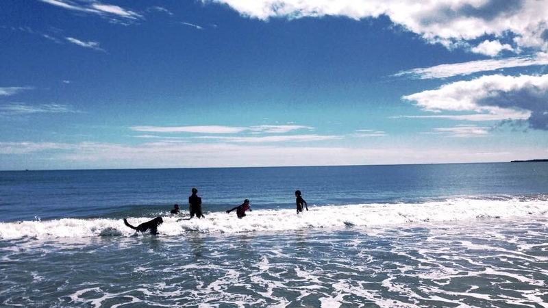Rosslare strand (Pic: Susan Kyne)